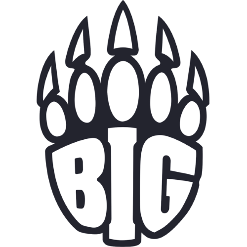 BIG Academy logo