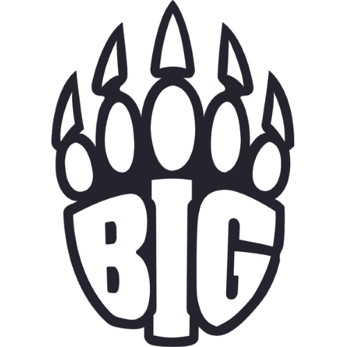 BIG Academy logo