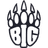 BIG Academy team logo