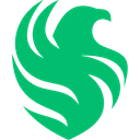 Team Falcons team logo