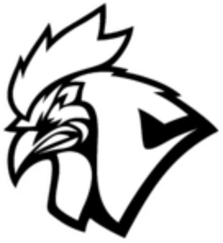 Chicken Coop Esports logo