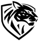 Ilbirs eSports team logo