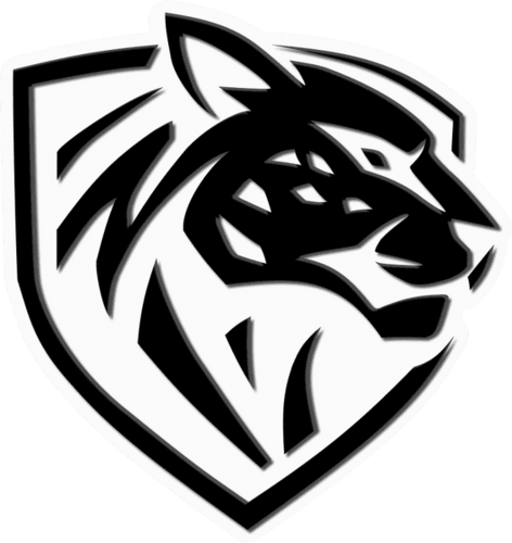 Ilbirs eSports logo
