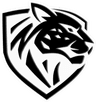 Ilbirs eSports team logo