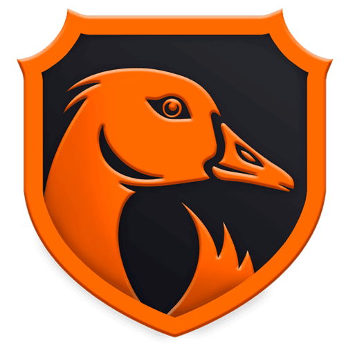 Team NS logo
