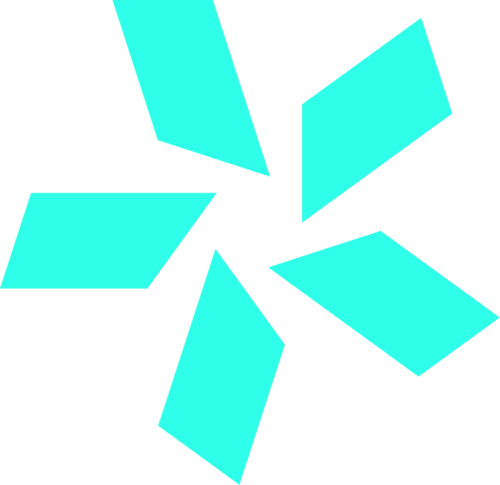 TEAM VISION logo