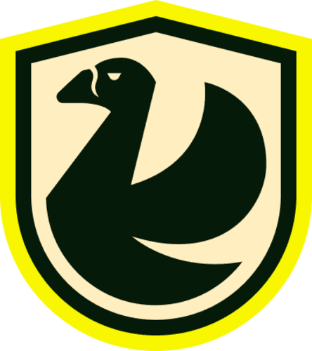NS Team logo