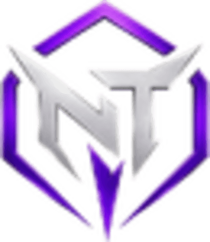 Nice Try logo