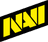 Natus Vincere team logo