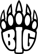 BIG team logo