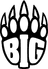 BIG team logo