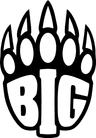 BIG team logo