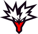 Team Yandex team logo